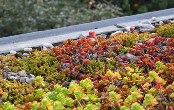 the cost of Little Musgrave green roof installation