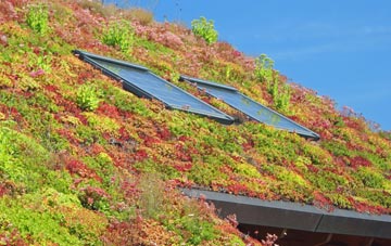 Little Musgrave living roof systems
